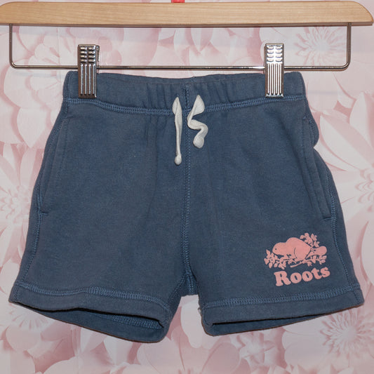 Blue & Pink Roots Shorts Size 3T