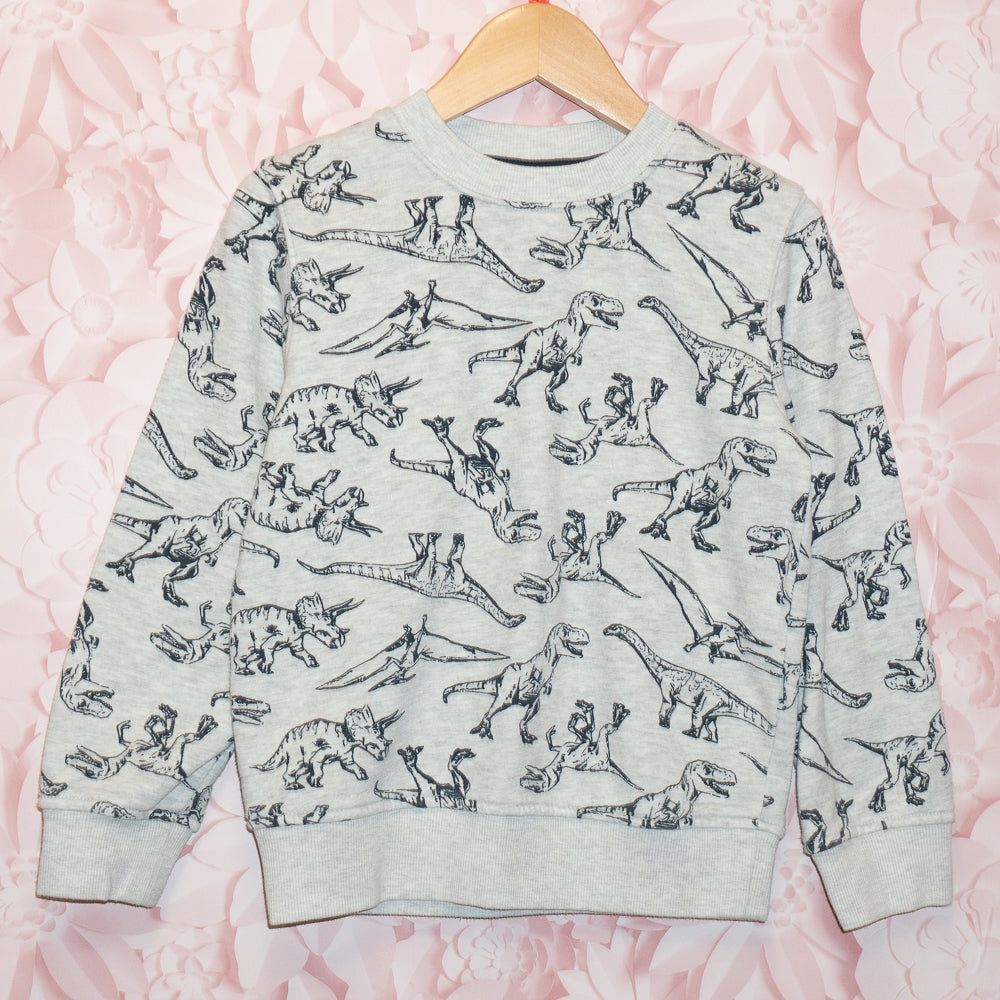 Dino Crewneck Size 6
