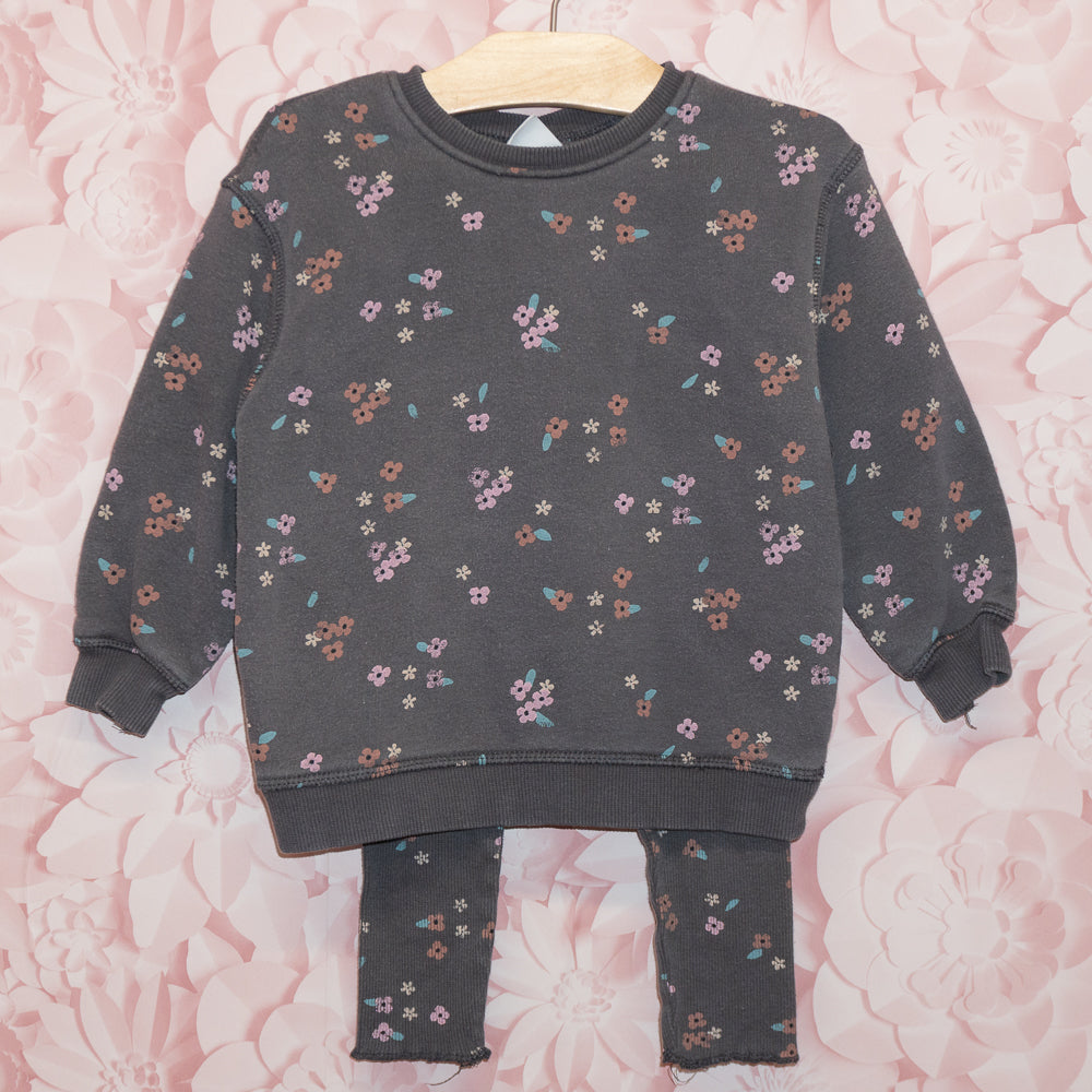 Floral Crewneck/Leggings Set Size 2-3