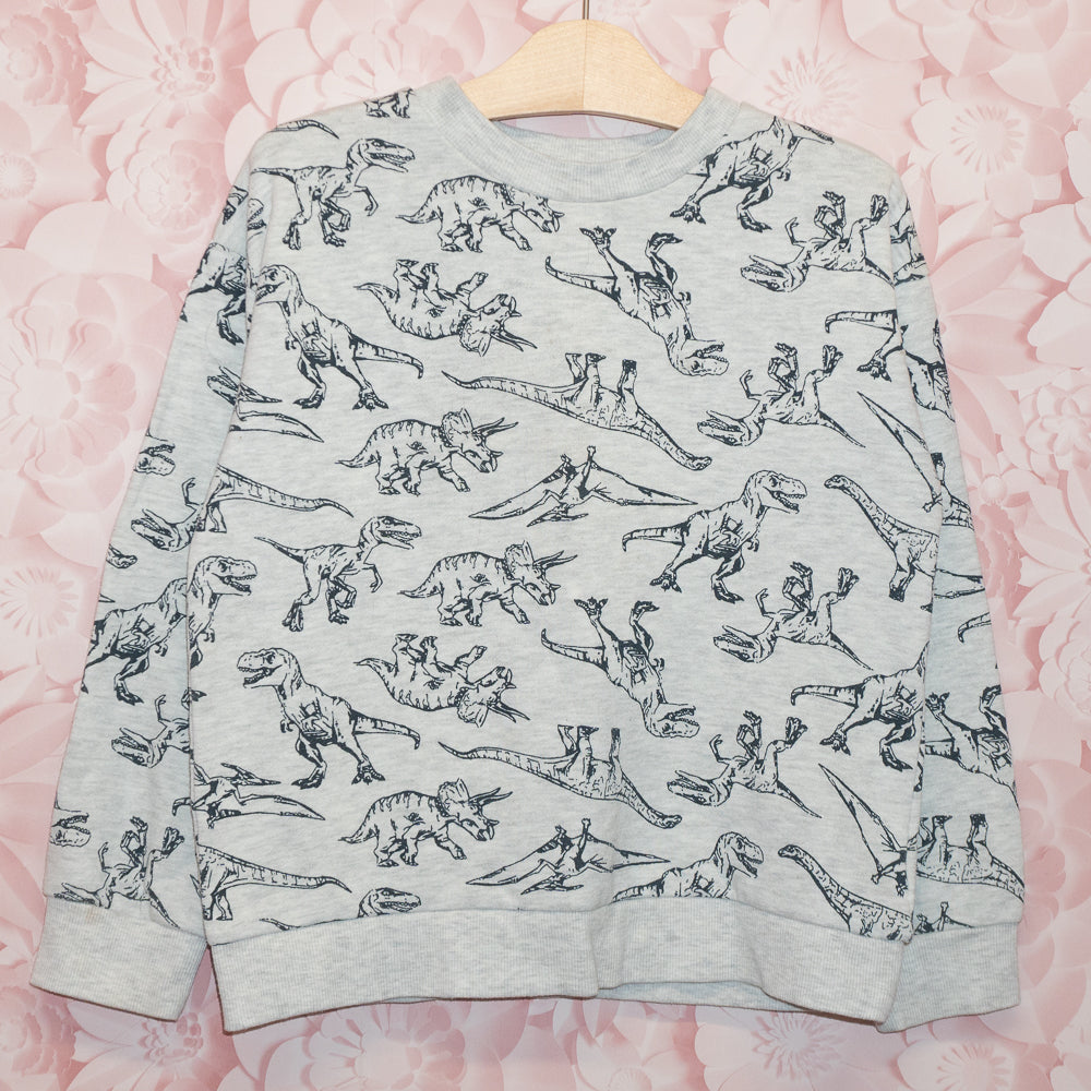 Dino Crewneck Size 7-8