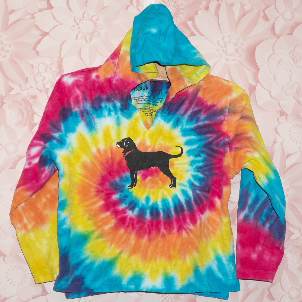 Rainbow Tie Dye Black Dog Hoodie Size 3T