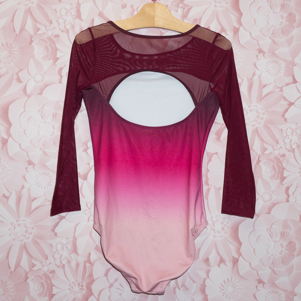 Mesh Gradient Leotard Size 12