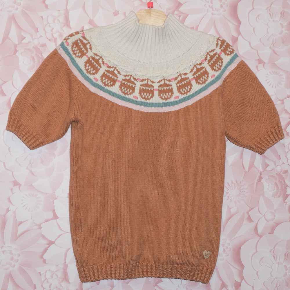 Acorn Sweater Size 4T