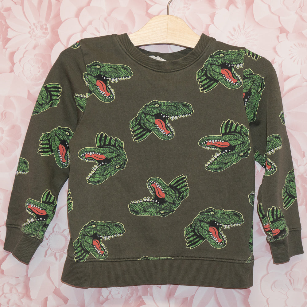 Dino Crewneck Size 4-6