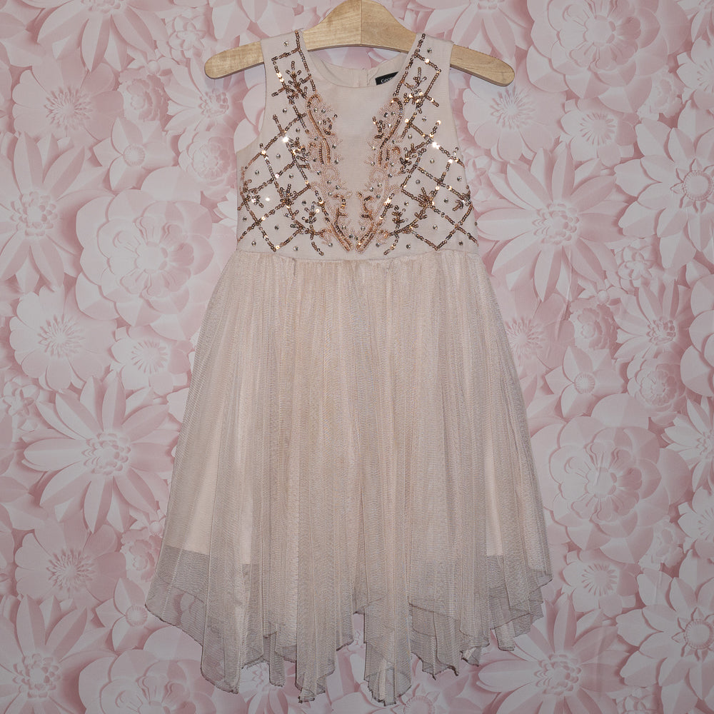 Sequin Tulle Dress Size 5-6