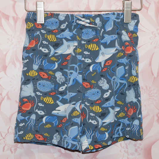 Sea Creature Swim Trunks Size 4T