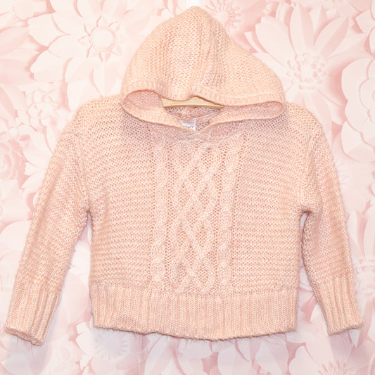 Knit Hooded Sweater Size 12m