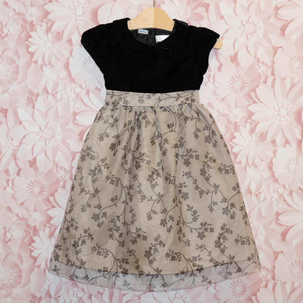 Velvet & Tulle Dress Size 5