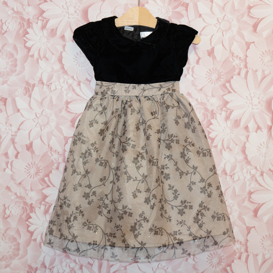 Velvet & Tulle Dress Size 5