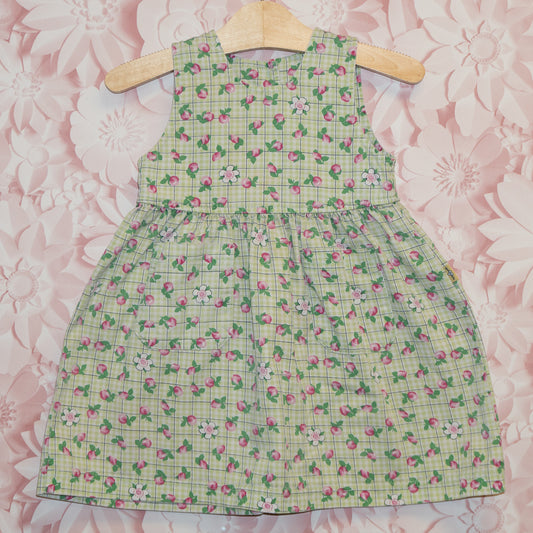 Vintage Blossom Dress Size 2T