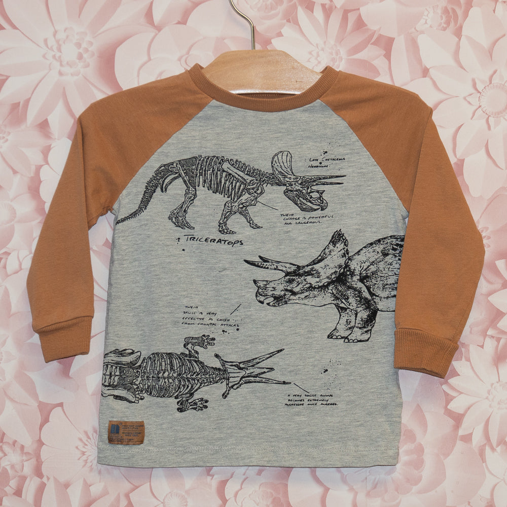 Dino Tee Size 3Y
