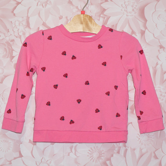 Ladybug Crewneck Size 3