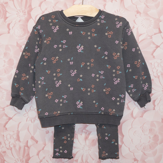 Floral Crewneck/Leggings Set Size 2-3