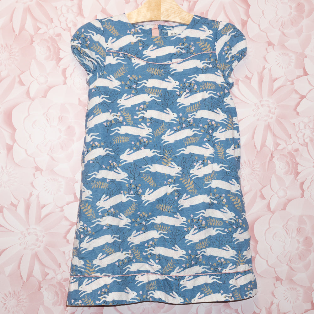 Rabbit Dress Size 6-7