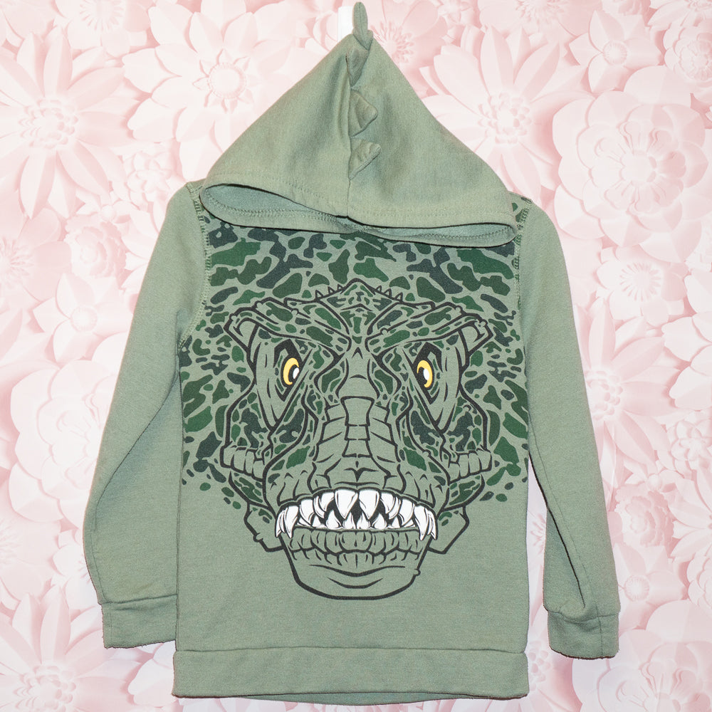 Dino Hoodie Size 4