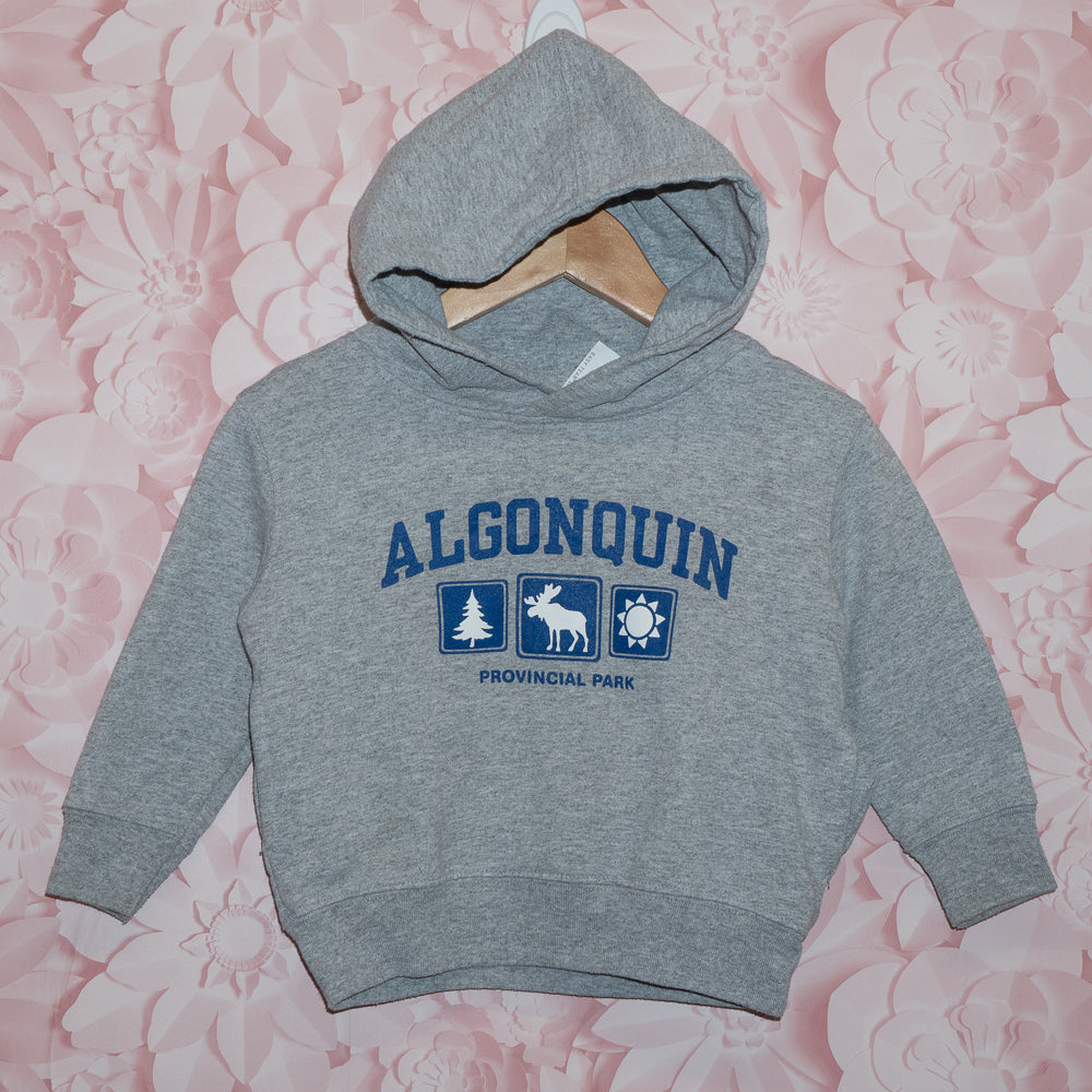 Algonquin Park Hoodie Size 2