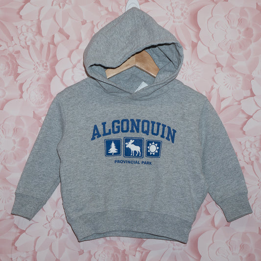 Algonquin Park Hoodie Size 2