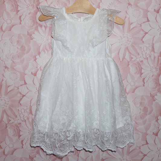 NWT Ruffled Lace Overlay Dress Size 2-3Y
