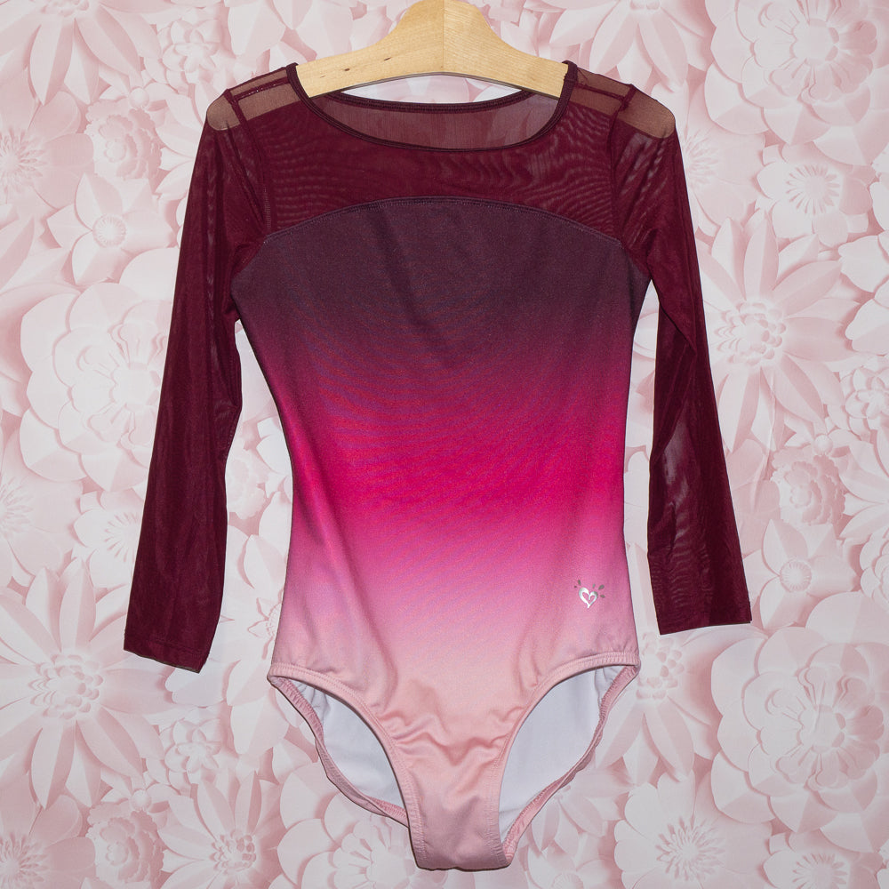 Mesh Gradient Leotard Size 12