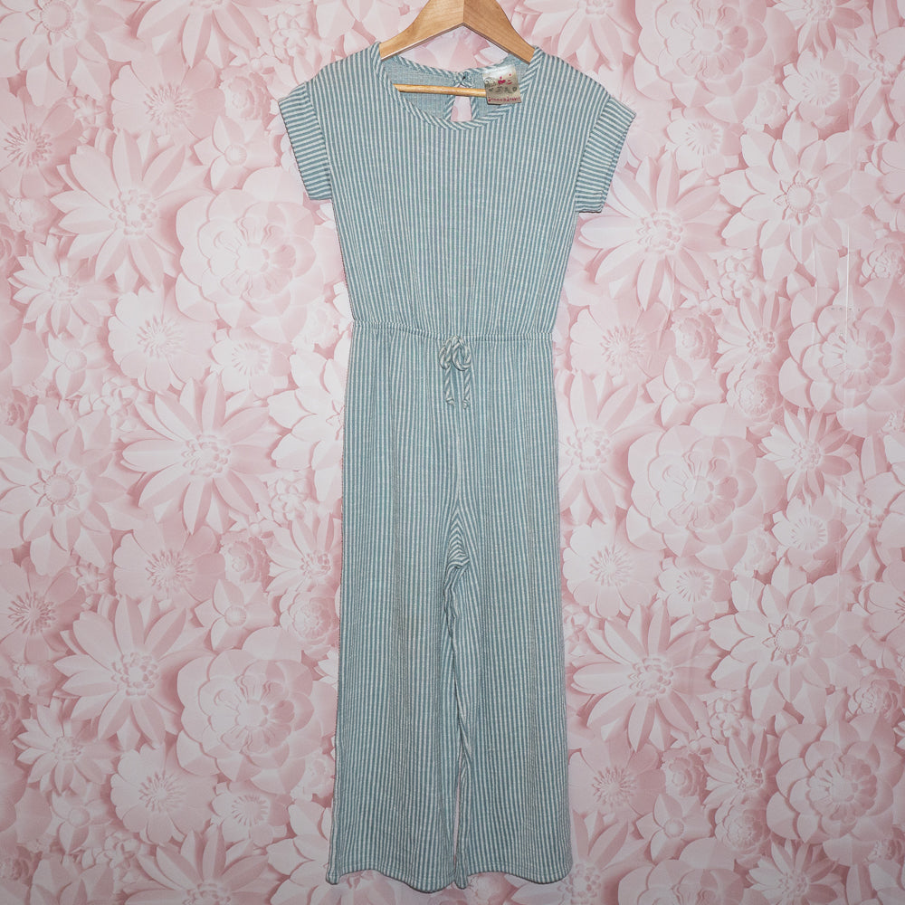 Blue Striped Jumpsuit Size 8