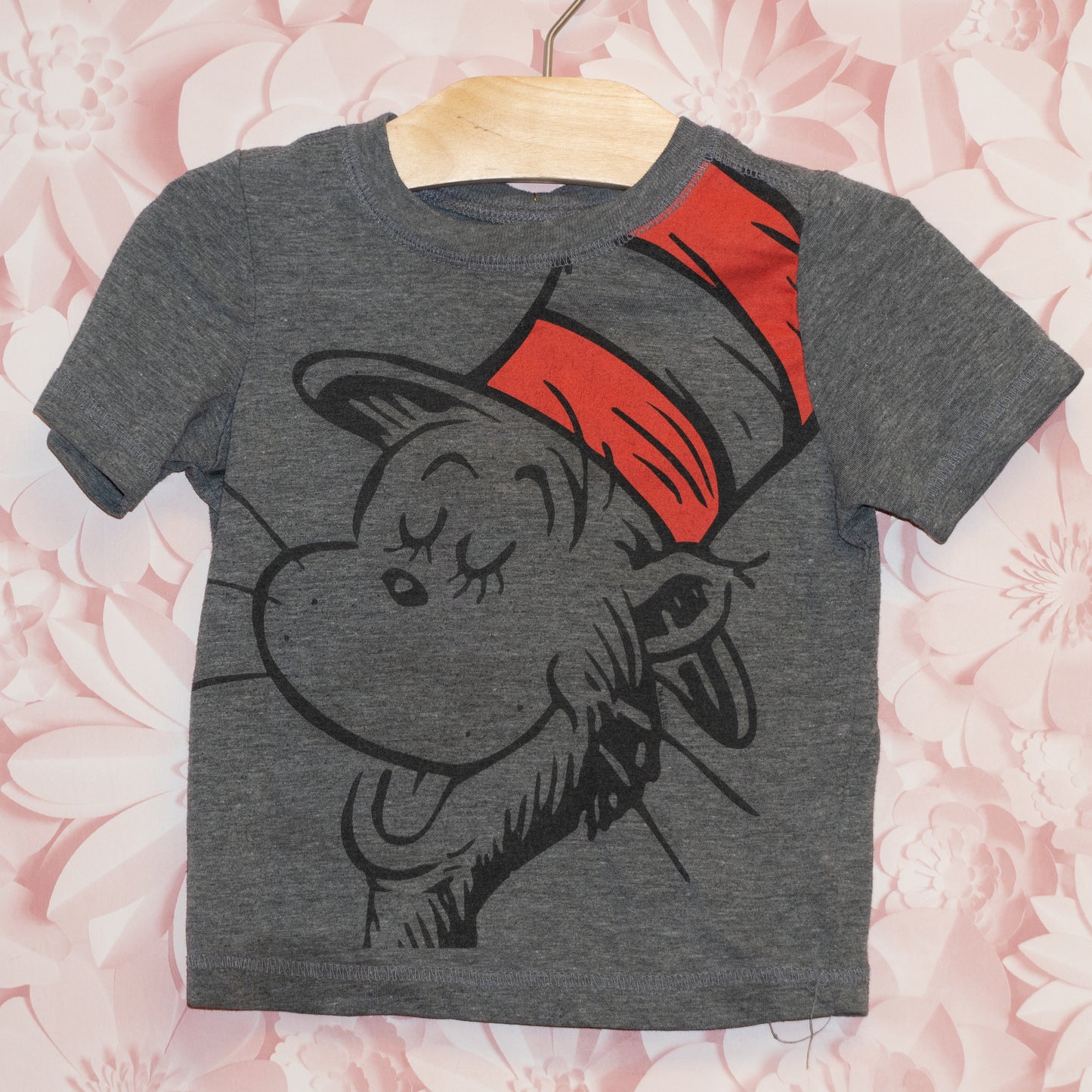 Cat in the Hat Tee Size 18-24m