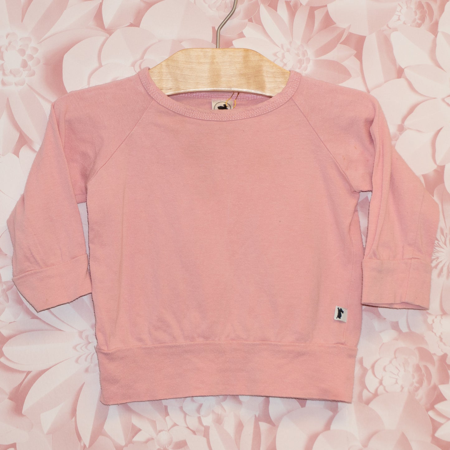 Little & Lively Pink Longsleeve Size 6-12m