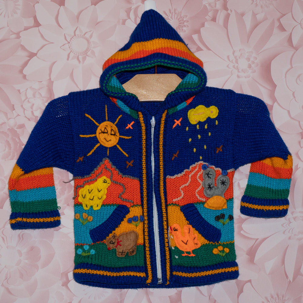 Blue Peruvian Sweater Size 9-12m