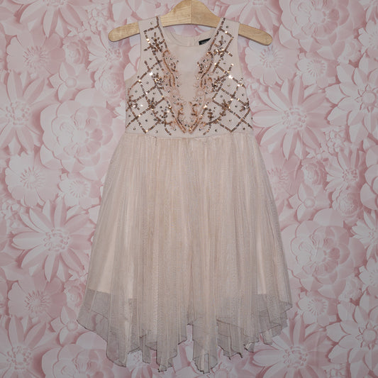 Sequin Tulle Dress Size 5-6
