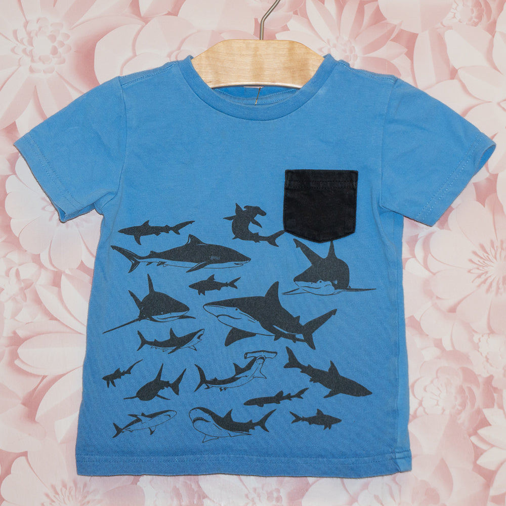 Variety of Sharks Tee Size 18-24m