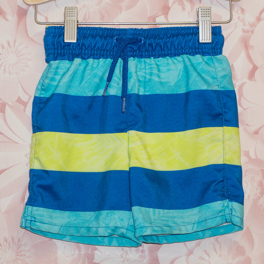 Striped Swim Trunks Size 2T