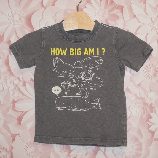 How Big Tee Size 2T