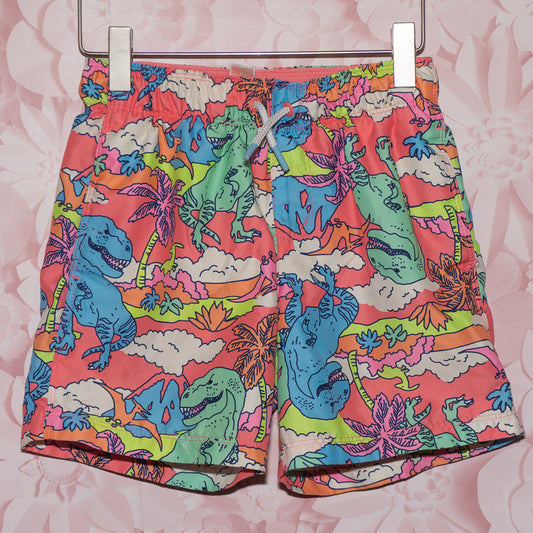 Neon Dino Swim Trunks Size 6/7 (Copy)