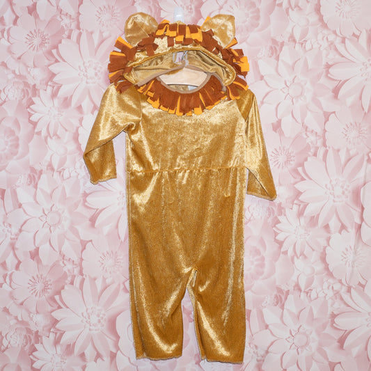 Lion Costume Size 12-18m