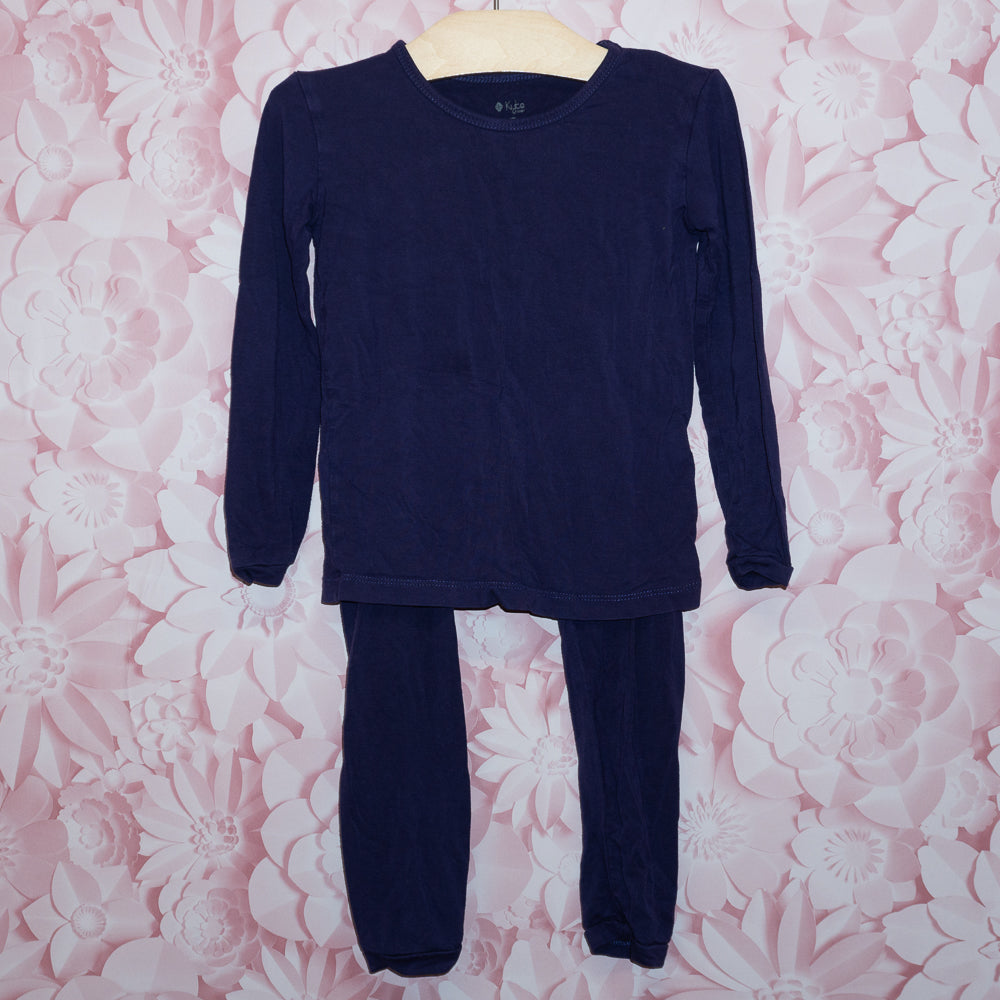 Purple Bamboo Pajamas Size 4T