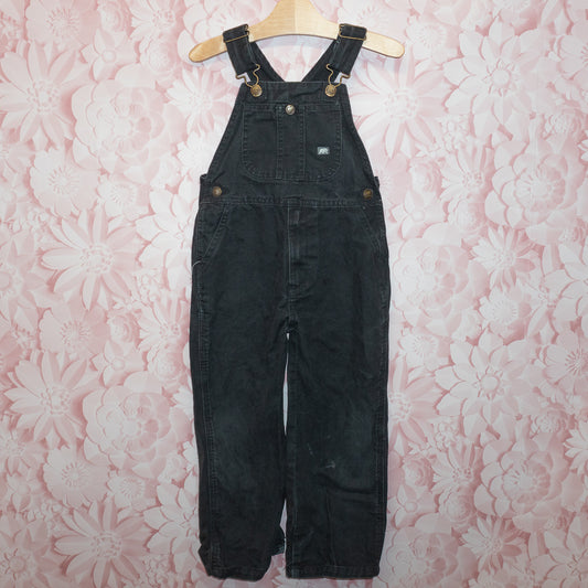 Berne Overalls Size 6