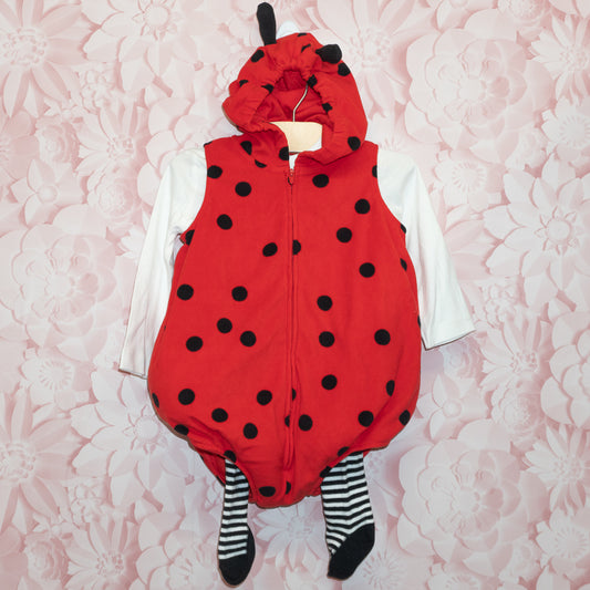 Ladybug Costume Size 18m