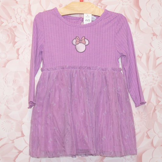 NWT Minnie Mouse Tulle Dress Size 18-24m