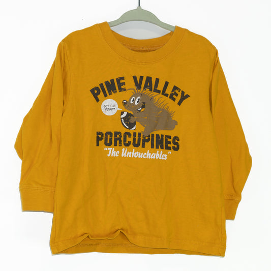 Porcupine Long-sleeve Tee Size 3T